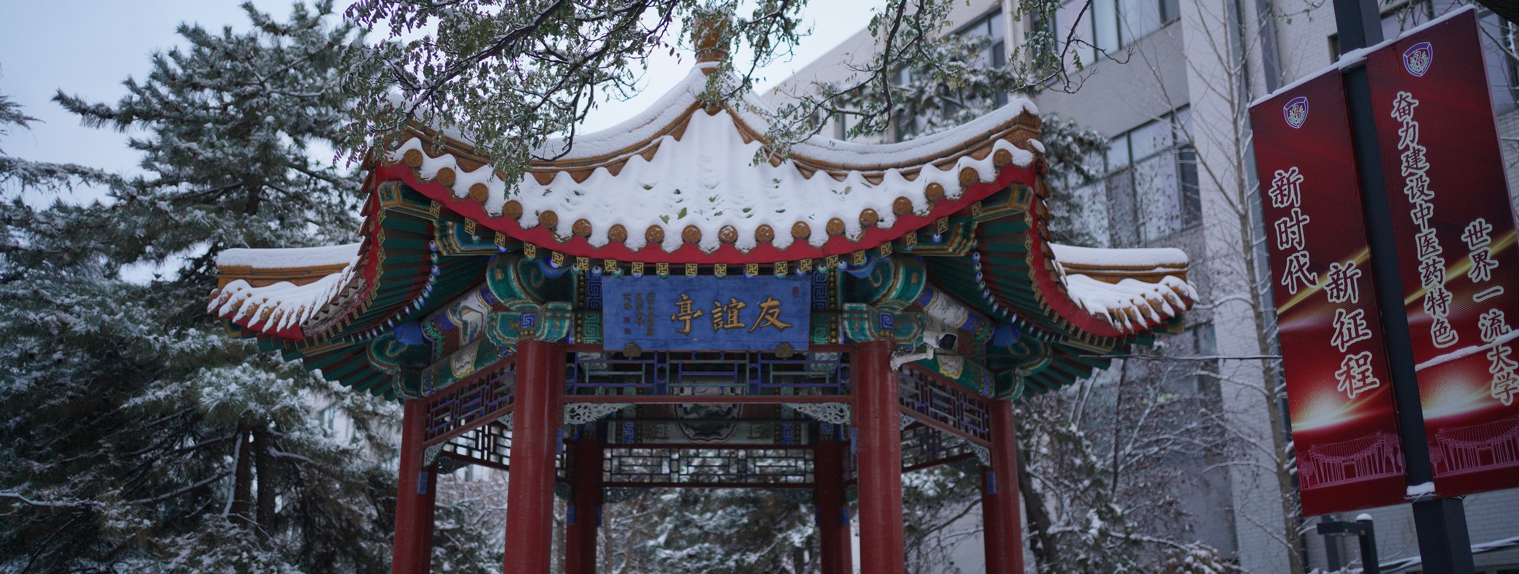 美加墨世界杯官方网站