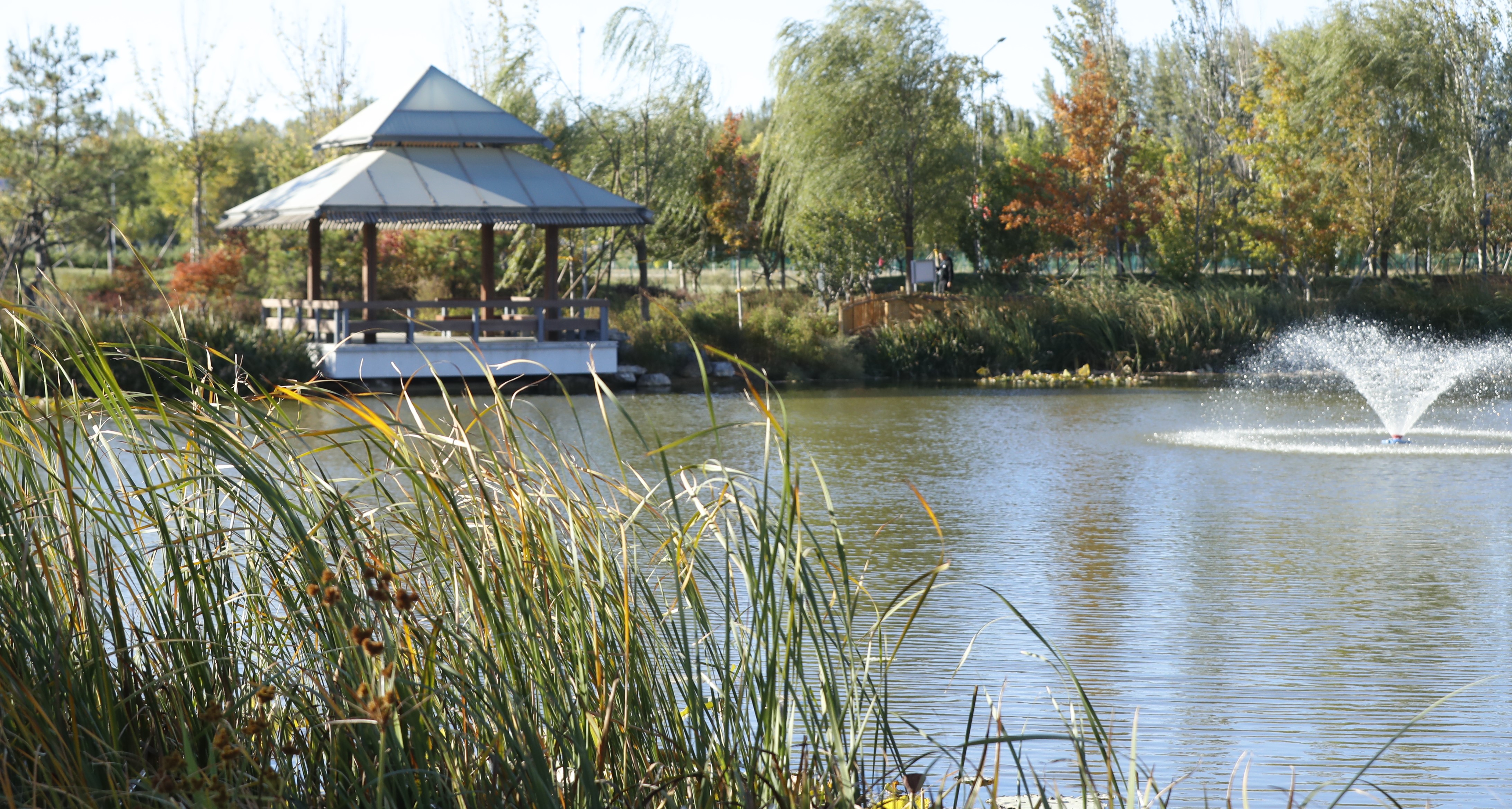 美加墨世界杯官方网站