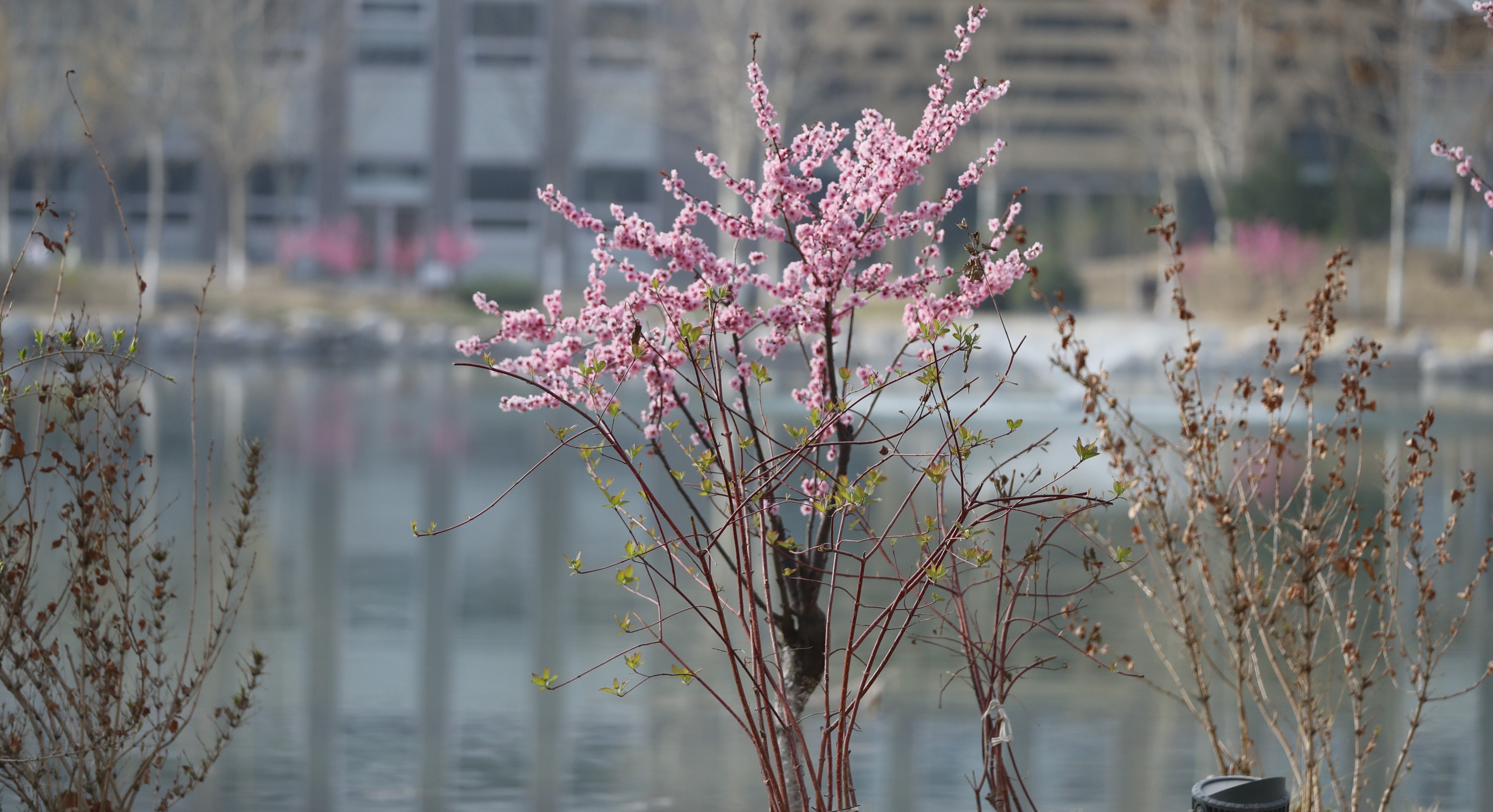 美加墨世界杯官方网站