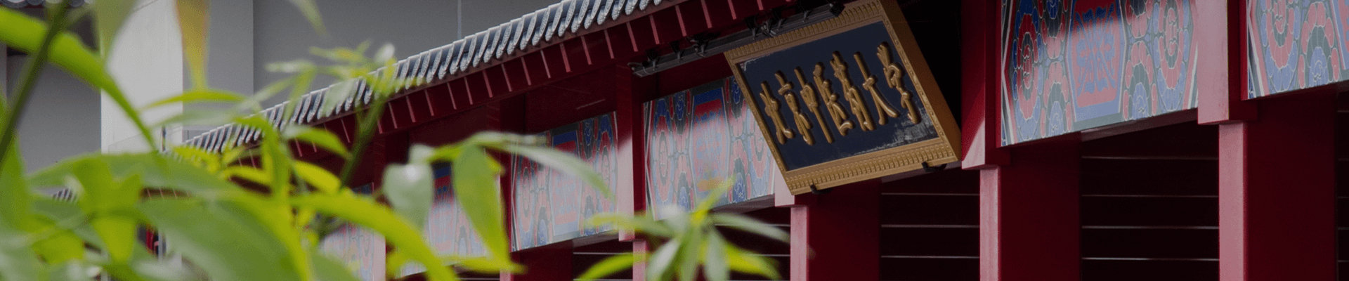 美加墨世界杯官方网站